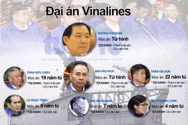 Thêm nhiều Vinashin, Vinalines, kiểm toán vẫn “vô can”?