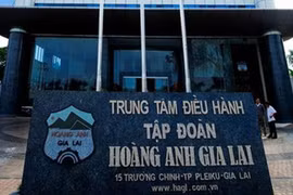 Chăn nuôi heo tiếp tục mang về cho HAG gần 183 tỉ đồng doanh thu trong quý 3/2021 (Ảnh: Internet)