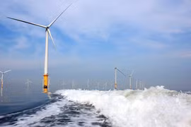 BCG Energy huy động 1.000 tỉ đồng đầu tư vào dự án điện gió hơn 5.500 tỉ đồng ở Cà Mau (Ảnh: Internet)