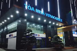 Năm 2020, VCG ghi nhận doanh thu hoạt động tài chính lên tới 3.062 tỉ đồng, cao gấp hơn 12 lần so với năm 2019 (Nguồn: Internet)