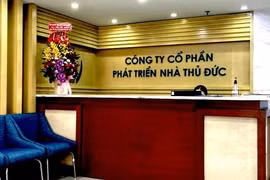 Cuộc đại phẫu của TDH sau nghi án gian lận thuế (Ảnh: Internet)