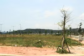 Đất nền tỉnh lẻ đang được nhiều nhà đầu tư quan tâm. Ảnh: Thành Nguyễn