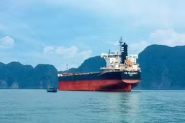 Hòa Phát mua thêm tàu The Prosperity tải trọng hơn 80.000 tấn (Ảnh: Hòa Phát)