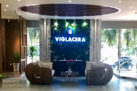 Viglacera dự kiến chia cổ tức năm 2021 bằng tiền với tỷ lệ 12% (Nguồn: Viglacera)