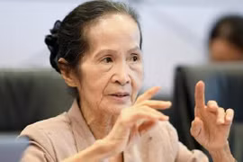 Chuyên gia kinh tế Phạm Chi Lan