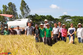 Lộc Trời: Đằng sau sự chấm dứt với Syngenta và mô hình nhà máy 1 triệu ha sản xuất ‘Just in time’