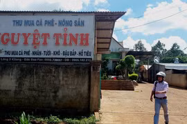 Đại lý nông sản vỡ nợ, nhiều nông dân khóc ròng