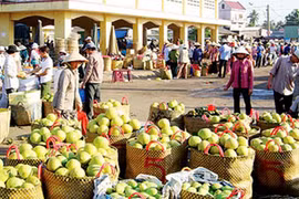 Kim ngạch nhóm hàng rau quả xuất khẩu sang Trung Quốc tăng 43,8% so với cùng kỳ năm ngoái