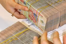 Các tổ chức tín dụng chỉ được thực hiện hoán đổi đối với nợ thuộc nhóm 5 hoặc nợ đã được xử lý bằng dự phòng rủi ro.