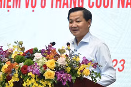 Phó Thủ tướng Lê Minh Khái (Ảnh: VGP)