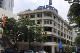 Công ty con của Novaland làm cổ đông lớn của Seaprodex