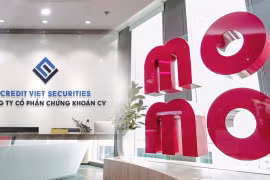 Chứng khoán CV (CVS) muốn phát hành 29,9 triệu cổ phiếu, tăng vốn gấp 2,9 lần