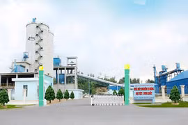 Nhà máy Xi măng Đại Việt - Dung Quất. (Ảnh: Internet)