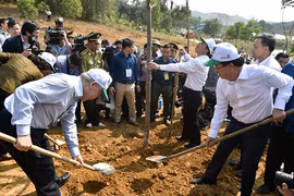 Tổng bí thư, Chủ tịch nước phát động Tết trồng cây 2019