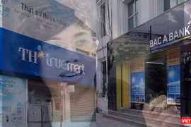TH Group và dòng vốn BacA Bank.