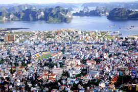 Ảnh minh họa.