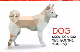 Nhìn lại 1 năm kinh doanh của các doanh nhân tuổi Tuất.