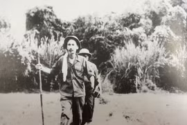 Ảnh minh họa