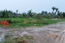lô đất bị phân lô bán nền trái phép ở Quận 12, TP.HCM.