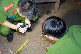 Ảnh chỉ mang tính chất minh họa.
