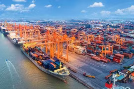 Dữ liệu của Bộ Tài chính Mỹ cho thấy, thặng dư thương mại của Việt Nam với Mỹ đã tăng mạnh trong 4 năm qua. Ảnh: IE.