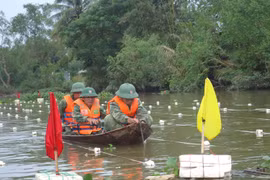 Các cán bộ, chiến sĩ của Lữ đoàn 299 đang tác nghiệp rà, phá bom, mìn, vật nổ tồn sót sau chiến tranh dưới nước tại huyện Hoài Nhơn, Bình Định.