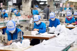 Ảnh minh họa (Nguồn: Vifutex)
