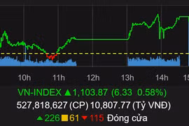VN-Index chốt năm 2020 trên 1.100 điểm (Ảnh chụp màn hình - Nguồn: TVSI)