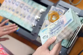 Ảnh minh họa (Nguồn: Internet)