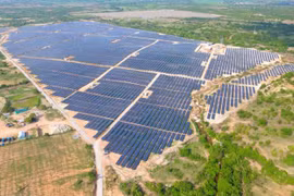 Một dự án điện mặt trời tại Việt Nam có công suất lắp đặt 50 MW mà SEC đã thâu tóm (Ảnh: Super Energy Corporation)