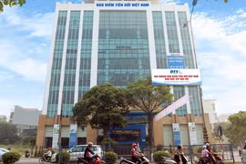 Ảnh minh họa (Nguồn: Internet)