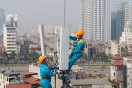 Ảnh minh họa (Nguồn: Internet)