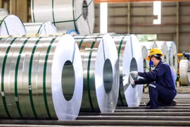 Hoa Sen bất ngờ báo lãi vượt xa kế hoạch 80%