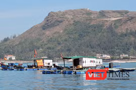 Trước thông tin cá nuôi lồng bè của một số hộ dân đảo Lý Sơn chết bất thường là do bị đầu độc phát tán, UBND huyện Lý Sơn chỉ đạo cơ quan công an vào cuộc