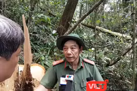 Ảnh minh hoạ