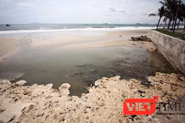 Ảnh Xuân Mai