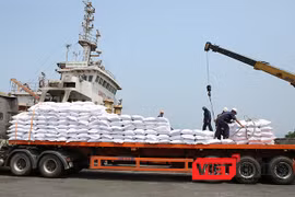 Nhật bản hỗ trợ Đà Nẵng nghiên cứu xây dựng và phát triển cảng Liên Chiểu thành cảng xếp dỡ hàng hóa công nghiệp của TP Đà Nẵng trong tương lai.