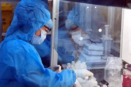 Nhân viên y tế làm việc trong phòng xét nghiệm COVID-19 (Ảnh - BYT) 