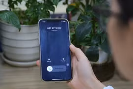 Thủ tướng yêu cầu ngăn chặn, xử lý các trang web, địa chỉ IP, ứng dụng, phần mềm độc hại sử dụng trong hoạt động lừa đảo. Ảnh minh hoạ.