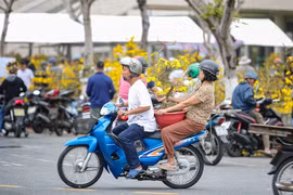 Chở Xuân về nhà