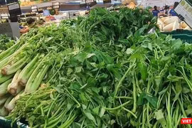 Nguồn cung ứng rau xanh và thực phẩm tươi sống cho TP.HCM bị thiếu trầm trọng trong những ngày vừa rồi - Ảnh: Hoà Bình 
