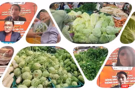 Thúc đẩy việc đưa nông sản thực phẩm tới tay người dân TP.HCM. 