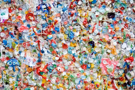Những vi nhựa (Microplastics)