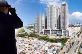 Các nhà đầu tư tìm kiếm gì tại Detesco? (Ảnh minh họa - Nguồn: Internet)