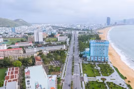 Ảnh minh họa (Nguồn: binhdinhinvest.gov.vn)