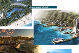 Ảnh minh họa (Nguồn: quangninh.gov.vn)