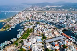 Ảnh minh họa (Nguồn: Internet)