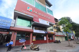Ảnh minh họa (Nguồn: Internet)