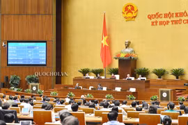 Toàn cảnh phiên biểu quyết (Nguồn: quochoi.vn)