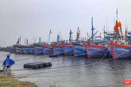 Tàu thuyền vào neo đậu tránh bão tại âu thuyền Thọ Quang (Đà Nẵng)